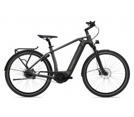 Flyer Gotour6 3.40 500wh, Anthracite Gloss